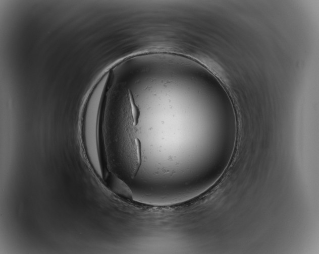 X0000088650912200705251459