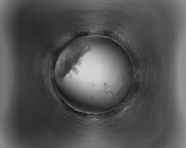 X0000088650913200705251458