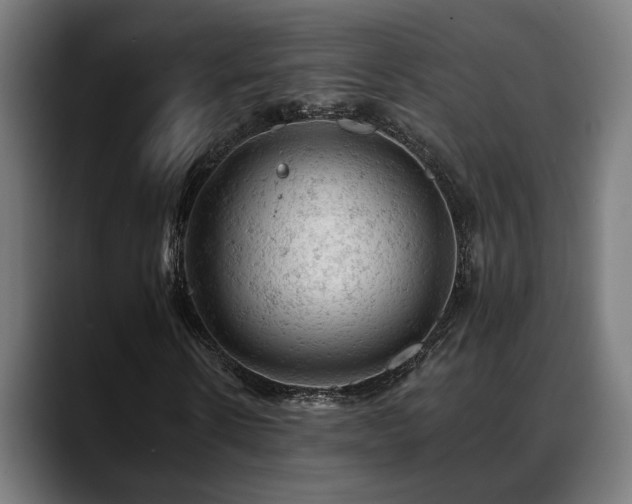 X0000088650914200705251458