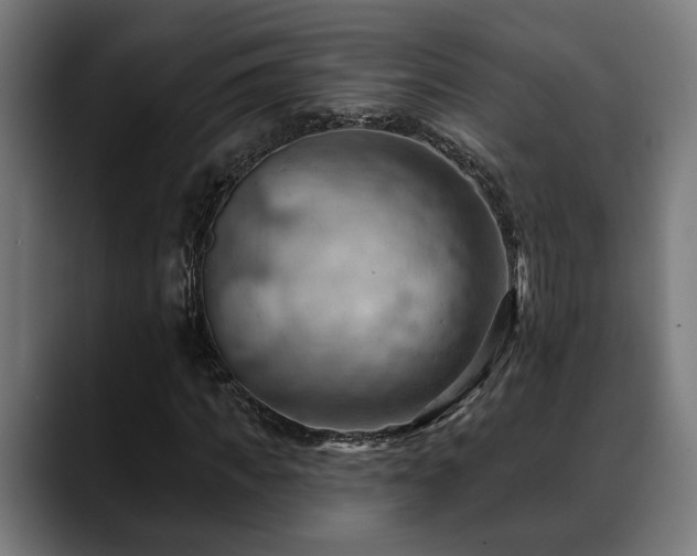 X0000088650917200705251458