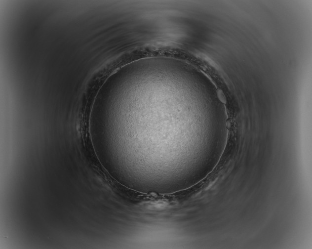 X0000088650919200705251458