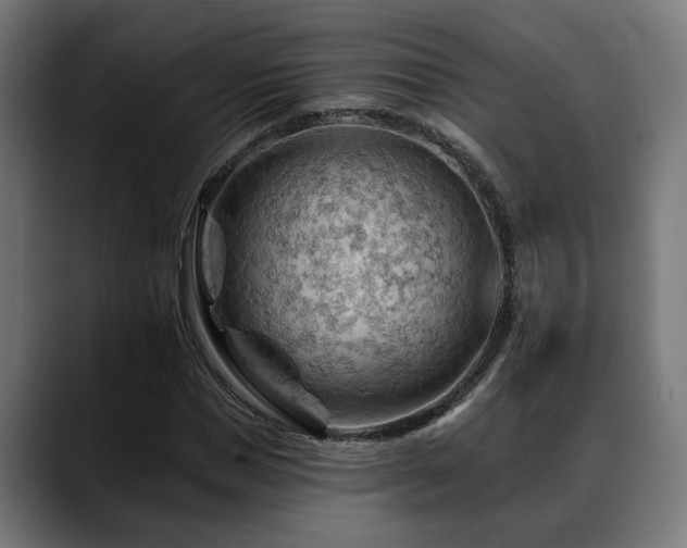 X0000088650921200705251458