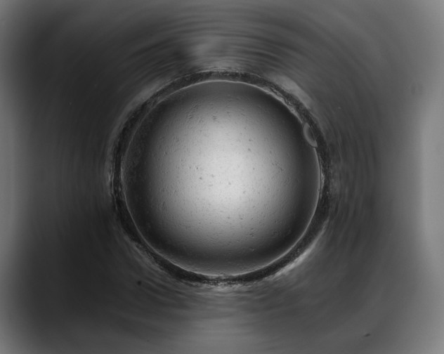 X0000088650922200705251458