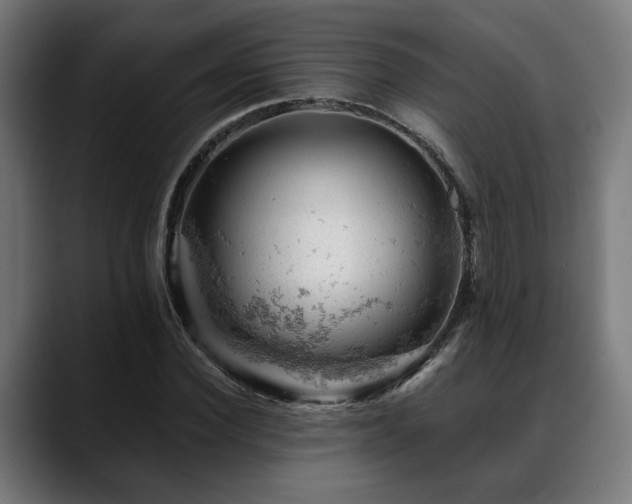X0000088650924200705251458