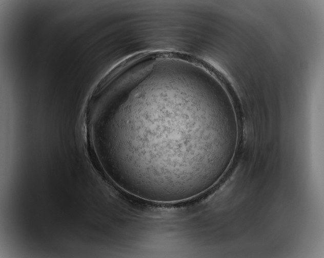 X0000088650925200705251458
