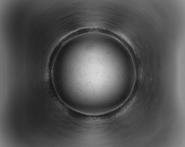 X0000088650927200705251458