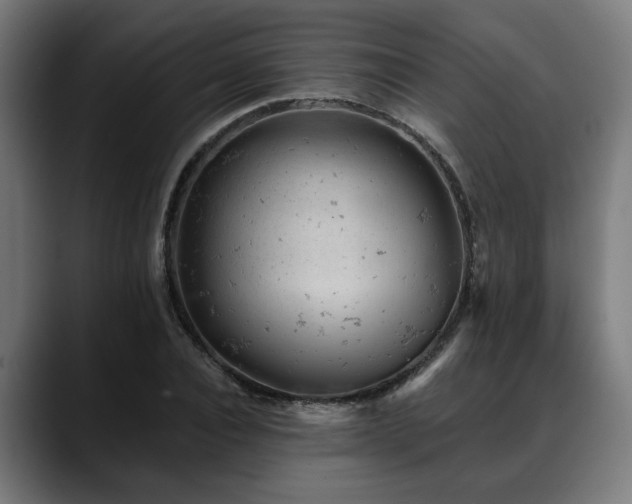 X0000088650928200705251458