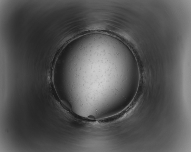 X0000088650929200705251458