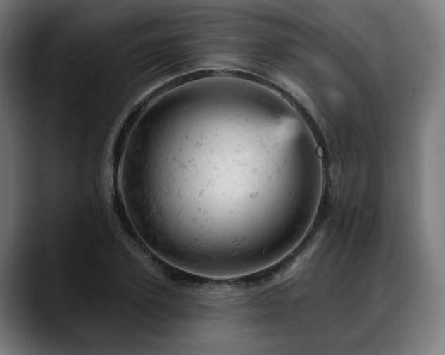 X0000088650931200705251459