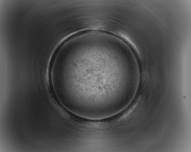 X0000088650932200705251459