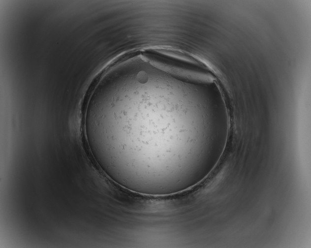 X0000088650933200705251459
