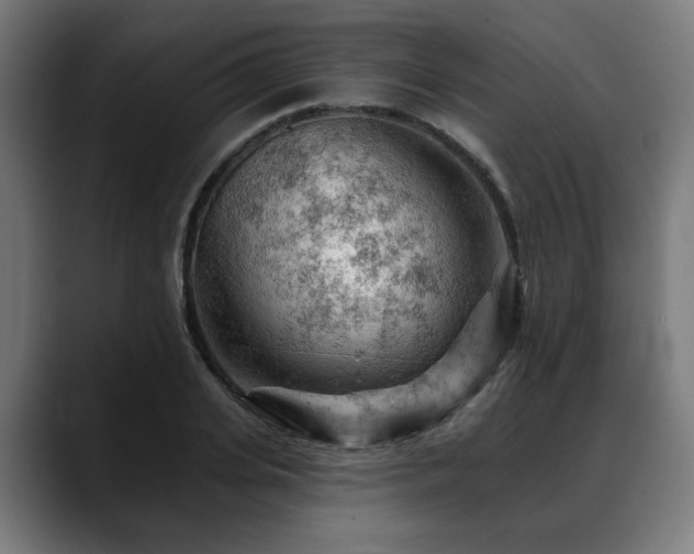X0000088650935200705251459