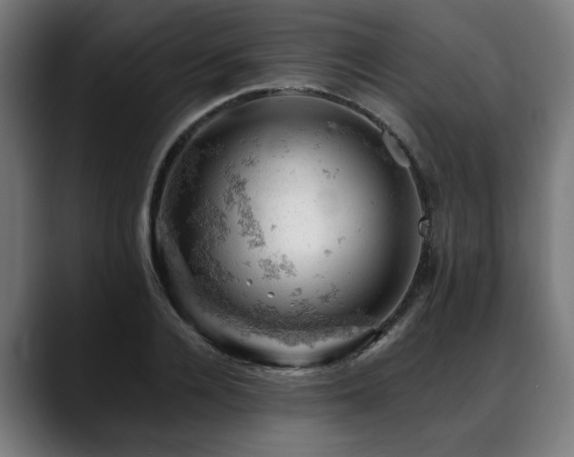 X0000088650936200705251459