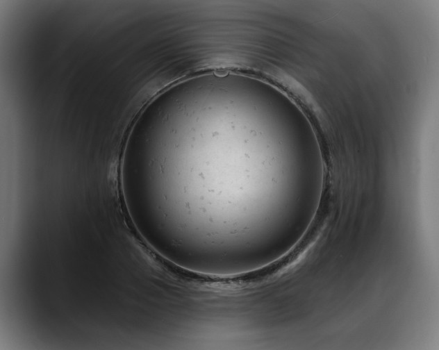 X0000088650937200705251459