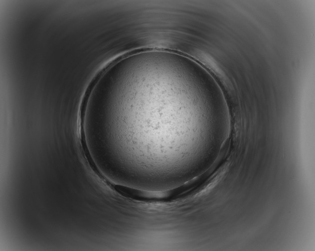 X0000088650940200705251459