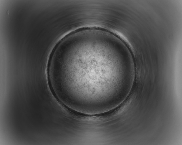 X0000088650943200705251459