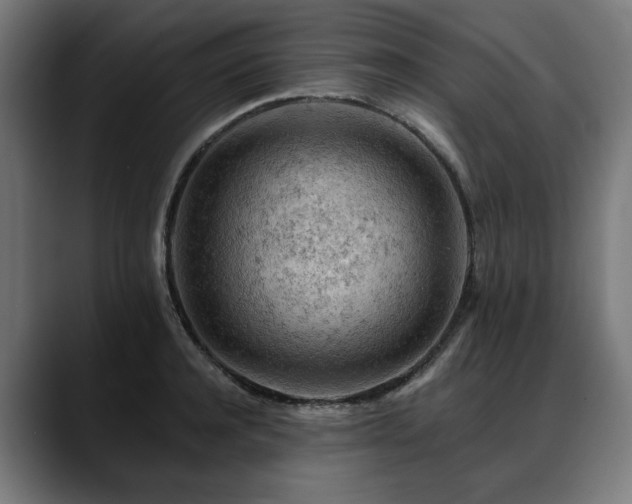 X0000088650944200705251459