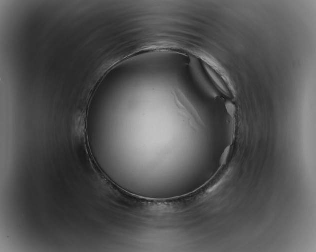 X0000088650945200705251459