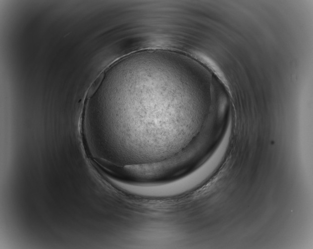 X0000088650946200705251459