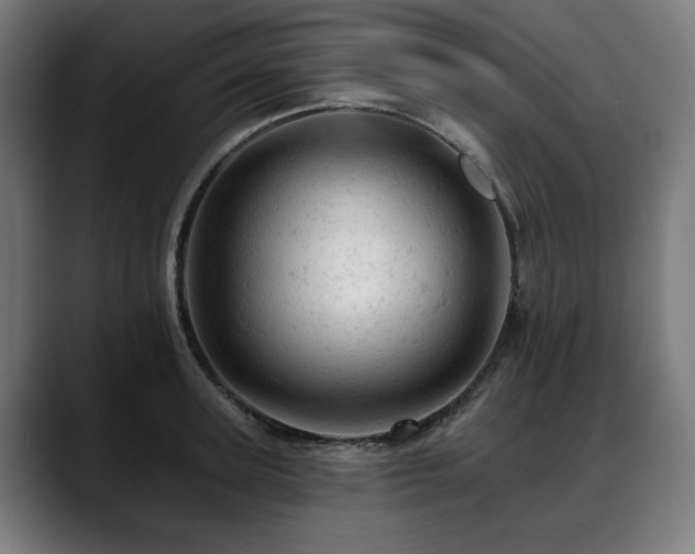X0000088650947200705251459