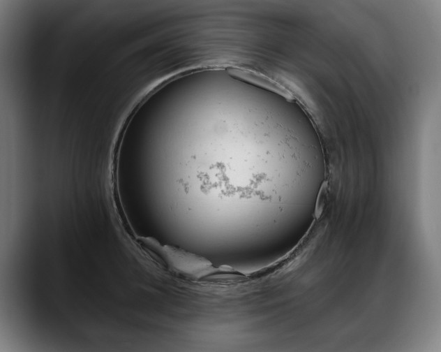 X0000088650948200705251459