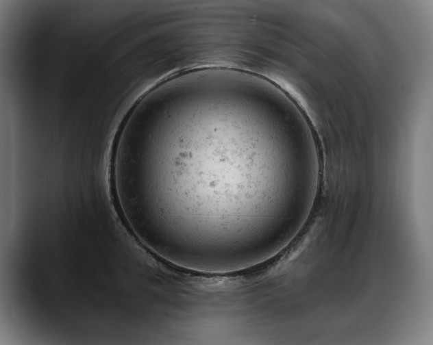 X0000088650949200705251459