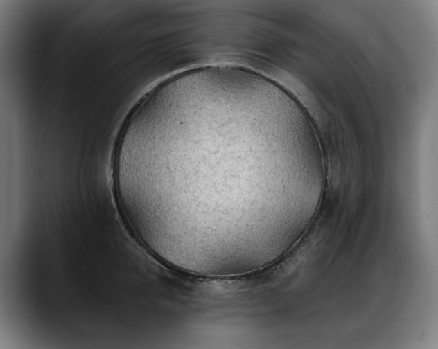 X0000088650950200705251459