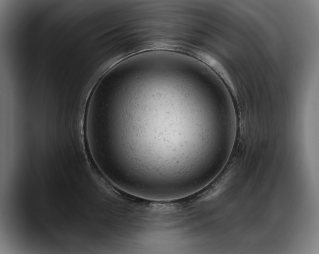 X0000088650954200705251459
