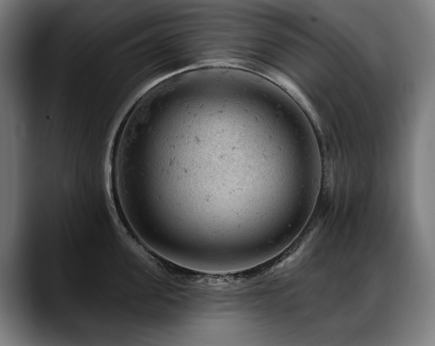 X0000088650955200705251459
