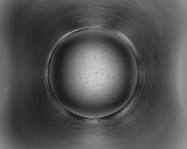 X0000088650956200705251459