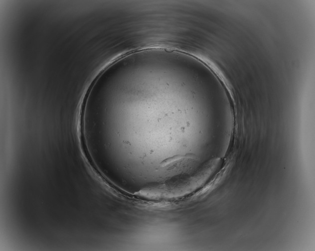 X0000088650957200705251459