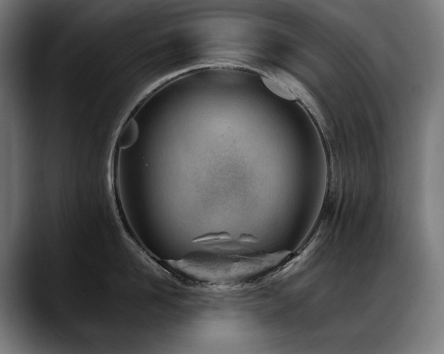 X0000088650958200705251459
