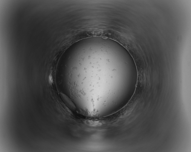 X0000088650962200705251458