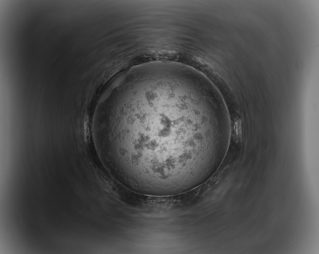 X0000088650963200705251458