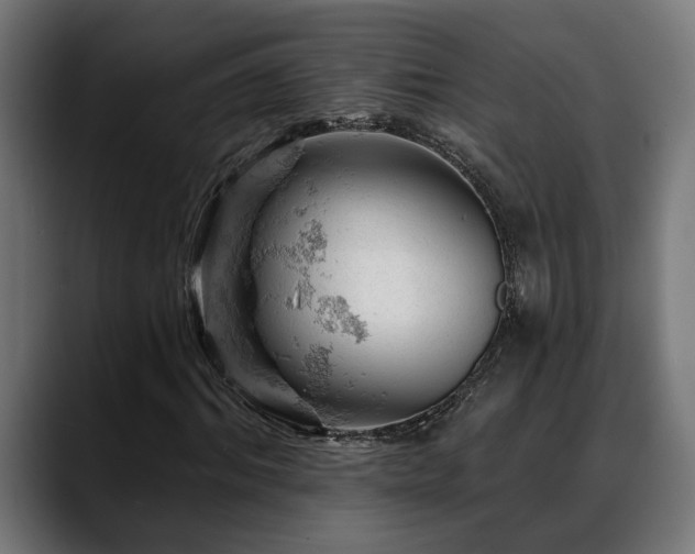 X0000088650964200705251458