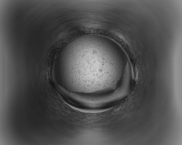 X0000088650965200705251458