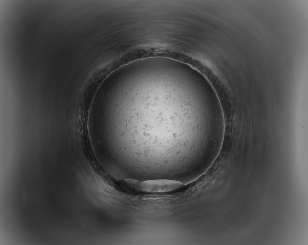 X0000088650967200705251458