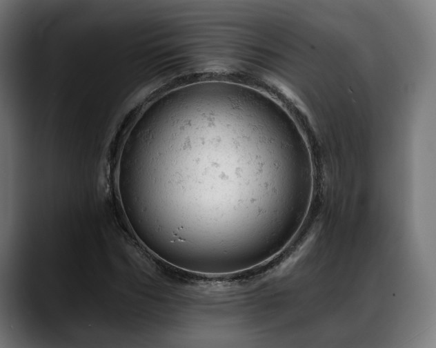 X0000088650970200705251458