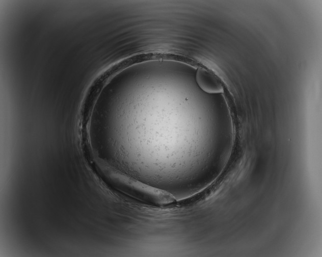 X0000088650971200705251458