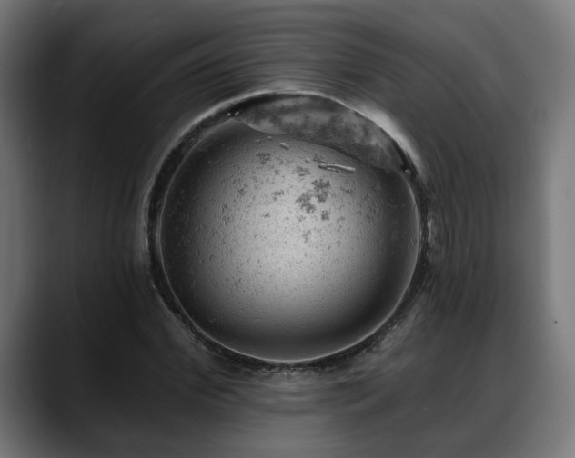X0000088650972200705251458