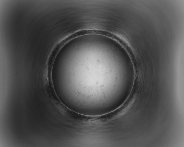 X0000088650974200705251458