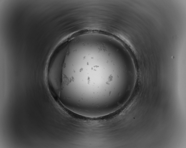X0000088650976200705251458