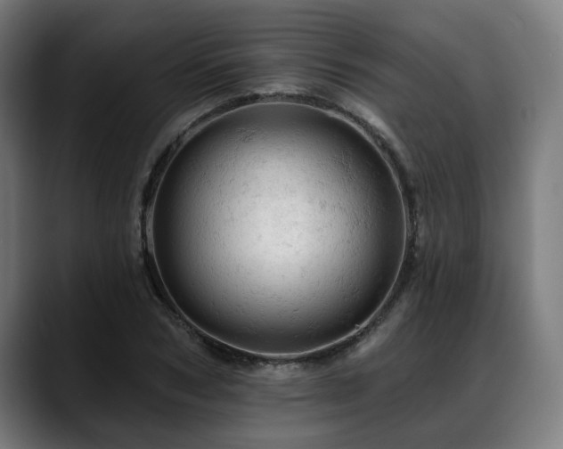 X0000088650978200705251458