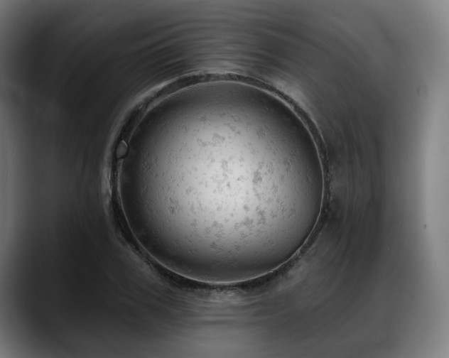 X0000088650979200705251458