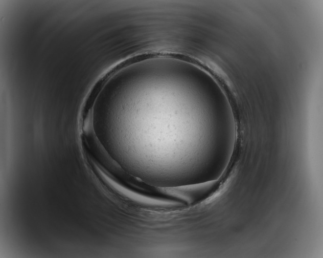 X0000088650981200705251458