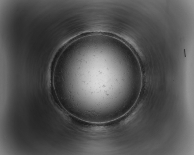 X0000088650982200705251458