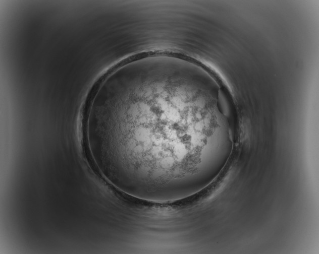 X0000088650983200705251458