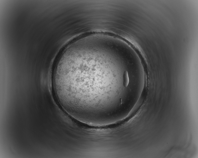 X0000088650984200705251458