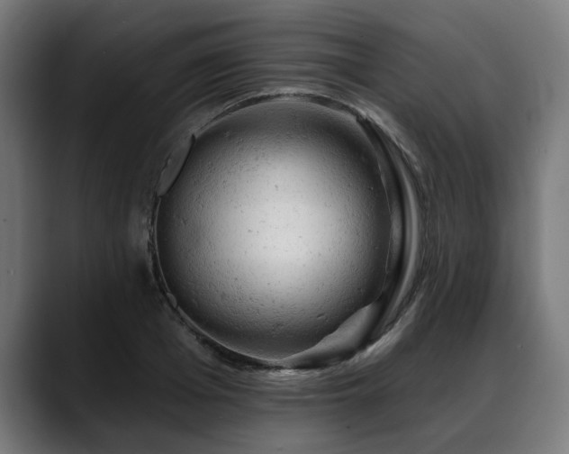 X0000088650985200705251458