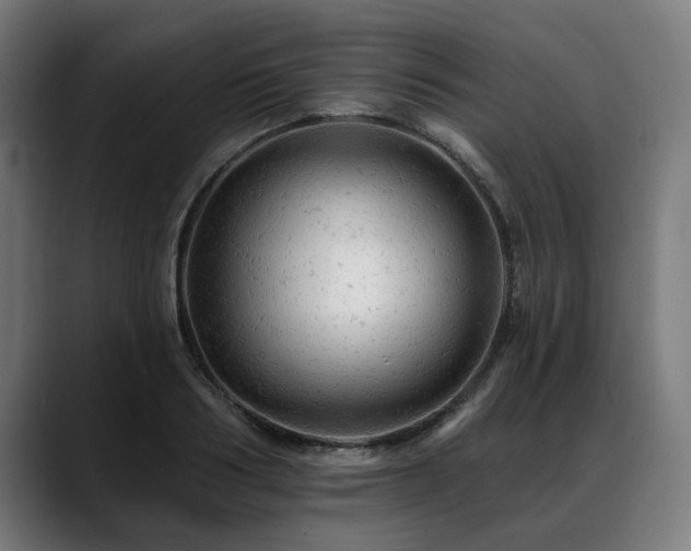 X0000088650986200705251458